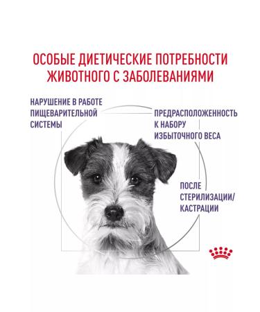 ROYAL CANIN Feed for castrated dogs of small rocks Neutered 3.5kg - Buy Online on GoSupps.com