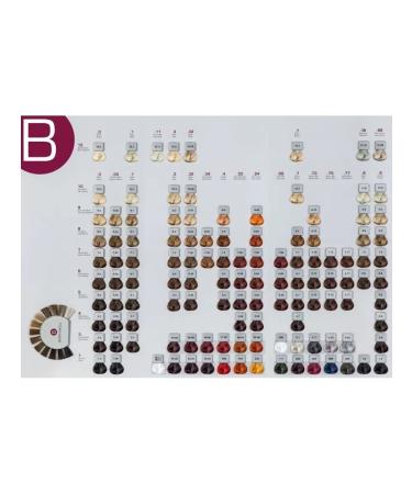 Berrywell 10-32 Extra light blond beige - Buy Online on GoSupps.com