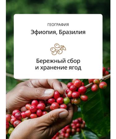 Delonghi Coffee in Africana Selection Blend 250 g - Buy Online on GoSupps.com