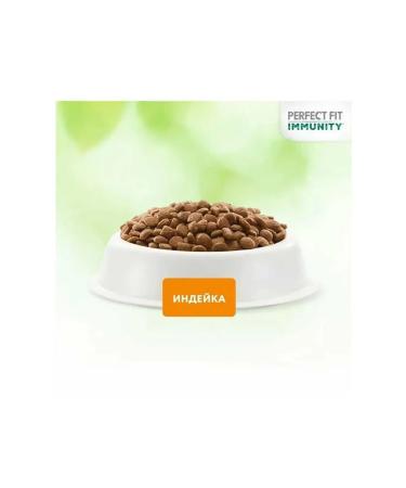 PERFECT FIT Cat food Immunity Indod. Spirul. Klukva 580g - Buy Online on GoSupps.com