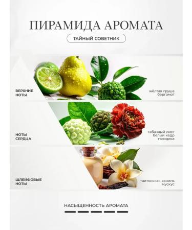 Ovsyannikov Perfumed hand and body cream Private adviser 250 ml - Buy Online on GoSupps.com