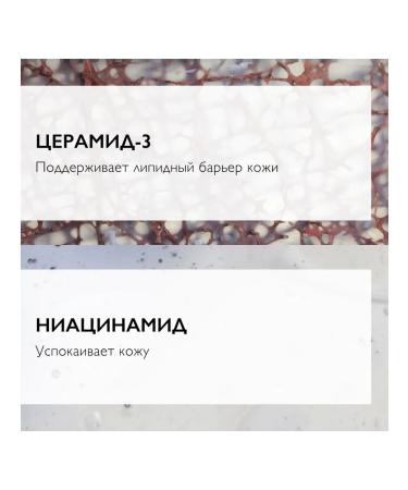 LA ROCHEPOSAY Toleriane cleansing gel penk for a double 400 ml - Buy Online on GoSupps.com