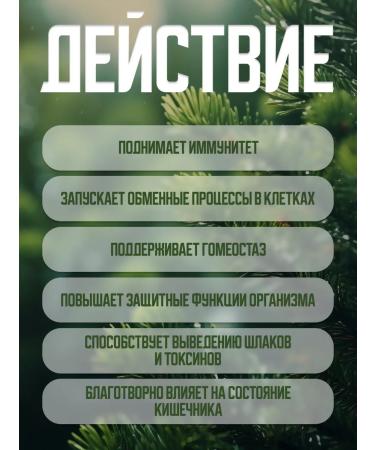 Immunomodulator Larch complex of coniferous for immunity from influenza - Buy Online on GoSupps.com