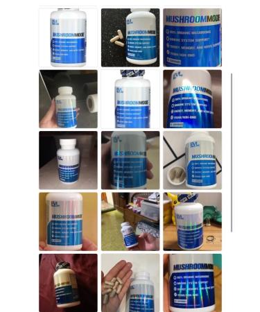 iherb Mushroomode mushroom mixture hedgehog cordyceps reish - Buy Online on GoSupps.com