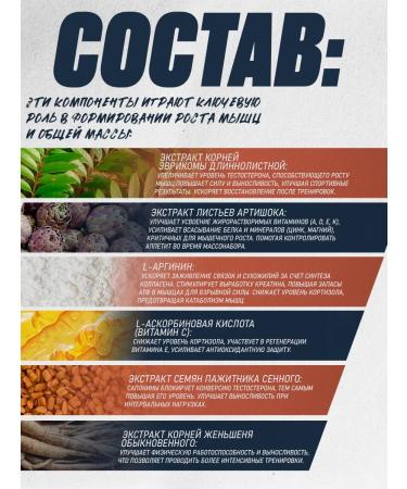 Capital pharm product Gainer for gaining mass - Buy Online on GoSupps.com