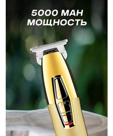 shaver Electric power plant - Buy Online on GoSupps.com