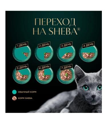 Sheba Wet food for adult cats Assorted 75g x 56 pcs - Buy Online on GoSupps.com