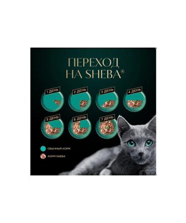 Sheba Wet food for adult cats in jelly assorted 75g x 56 pcs - Buy Online on GoSupps.com