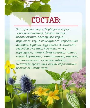 Herbalist Gordeev MV Tea drink healthy liver 3 pcs - Buy Online on GoSupps.com