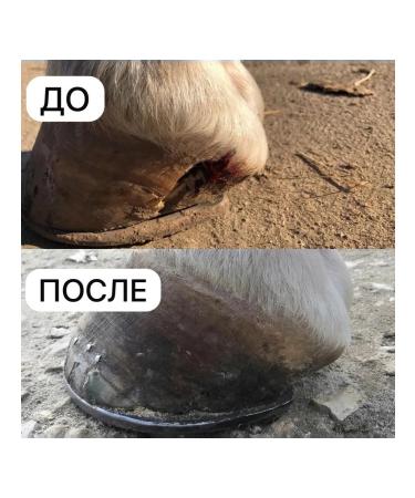 AliveZooJelly Vitamins for dogs and cats for joints collagen - Buy Online on GoSupps.com