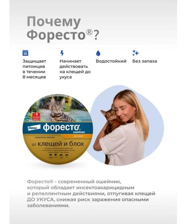 Elanco Foretrae collar for cats - Buy Online on GoSupps.com