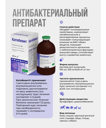 KRKA Cathobevite injection solution 100 ml - Buy Online on GoSupps.com