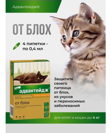 Elanco Advantage for cats