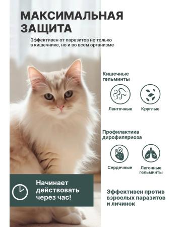 KRKA Milprazone tablets for cats 2x16 mg 40 mg - Buy Online on GoSupps.com