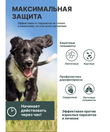 KRKA Milprazone Dog tablets 2x2.5 mg 25 mg - Buy Online on GoSupps.com