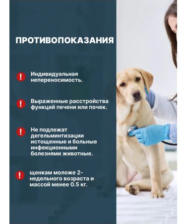 KRKA Milprazone Dog tablets 2x2.5 mg 25 mg - Buy Online on GoSupps.com