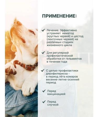 KRKA Milprazone Dog tablets 2x12.5 mg 125 mg - Buy Online on GoSupps.com