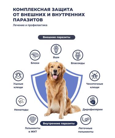 KRKA Sealess a solution for external use 1 x 30 mg 0.25ml - Buy Online on GoSupps.com