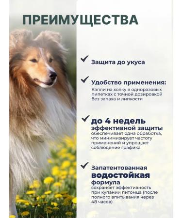 KRKA Attles from tick bites fleas solution 4.0 ml No. 1 - Buy Online on GoSupps.com