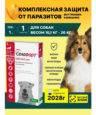 KRKA Sealess a solution for external use 1 x 120 mg 1ml