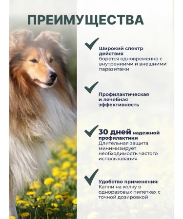 KRKA Sealess a solution for external use 1 x 120 mg 1ml - Buy Online on GoSupps.com