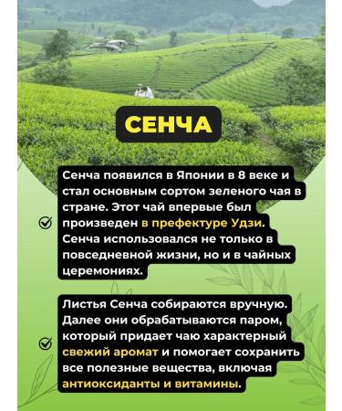 Give me some tea Green tea sencha Japan - Buy Online on GoSupps.com