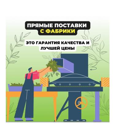 Give me some tea Green tea sencha Japan - Buy Online on GoSupps.com