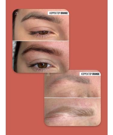 AS COMPANY BY ALINA SHAKHOVA Shakhova corrector of the tattoo of eyebrows hybrid orange 6ml - Buy Online on GoSupps.com