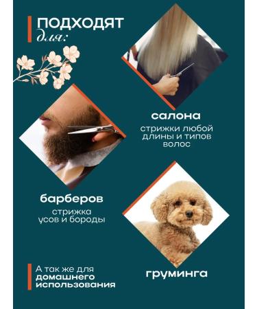 Kingling The hairdressers scissors - Buy Online on GoSupps.com