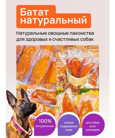 Dogmat Dog -dried -dried -dried -up