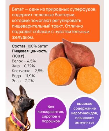 Dogmat Dog -dried -dried -dried -up - Buy Online on GoSupps.com