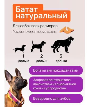 Dogmat Dog -dried -dried -dried -up - Buy Online on GoSupps.com