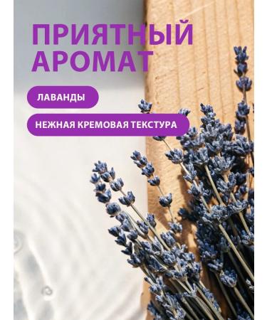 SanFito Liquid cream-soiled lavender fields 5 liters - Buy Online on GoSupps.com