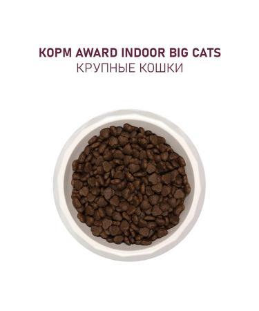 AWARD Big CATS Big Cats Feed 10 kg - Buy Online on GoSupps.com