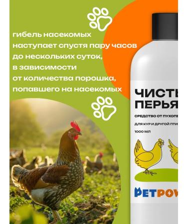 PETPOWER Powder from parasites and fleas for chicken - Buy Online on GoSupps.com