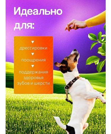 Jessie Light beef 100 grams of dog treat - Buy Online on GoSupps.com