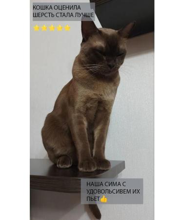 PREIGERS Vitamins for cats liquid 80 ml - Buy Online on GoSupps.com