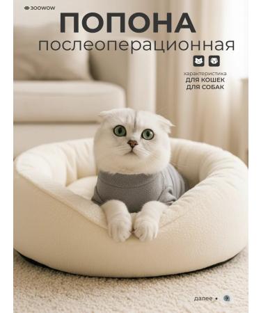 ZOOWOW Popon for cats and dogs - Buy Online on GoSupps.com