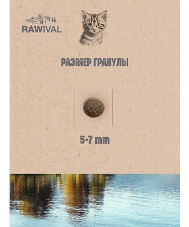 Rawival Dry food for kittens duck and turkey 1.7 kg - Buy Online on GoSupps.com