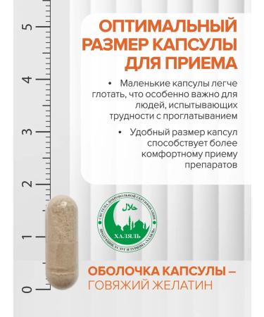 Gypsy Vitamins iron helat 40 mg - Buy Online on GoSupps.com