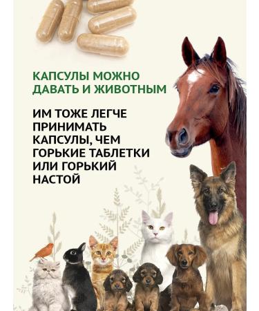 Natural Products Factory Trochita plus from worms and parasites 60 capsules - Buy Online on GoSupps.com