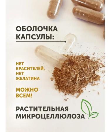 Natural Products Factory Trochita plus from worms and parasites 60 capsules - Buy Online on GoSupps.com