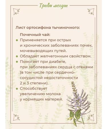 Herbs ORTOSIPON TECHIC LIST 20 bags - Buy Online on GoSupps.com