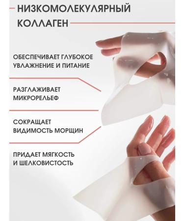 BIODANCE Facial mask of a night hydrogel with a collagen 1 pcs - Buy Online on GoSupps.com