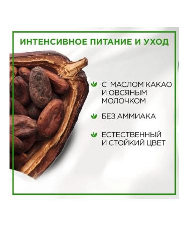 Palette Persistent paint Naturia 1-0 black 110 ml - Buy Online on GoSupps.com