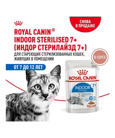 ROYAL CANIN Wet feed indoor sterilized 7+ for cats sauce 85 g 28 pcs - Buy Online on GoSupps.com