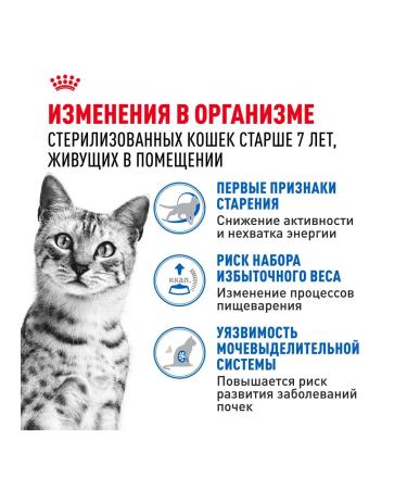 ROYAL CANIN Wet feed indoor sterilized 7+ for cats sauce 85 g 28 pcs - Buy Online on GoSupps.com