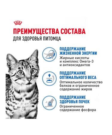 ROYAL CANIN Wet feed indoor sterilized 7+ for cats sauce 85 g 28 pcs - Buy Online on GoSupps.com