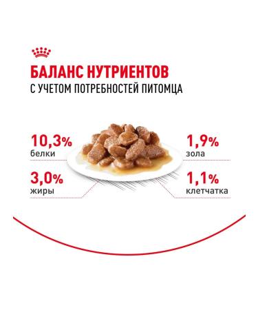 ROYAL CANIN Wet feed indoor sterilized 7+ for cats sauce 85 g 28 pcs - Buy Online on GoSupps.com