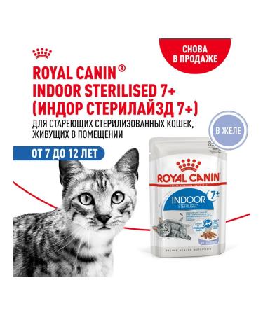 ROYAL CANIN Wet feed indoor sterilized 7+ for cats jelly 85 g 10 pcs - Buy Online on GoSupps.com